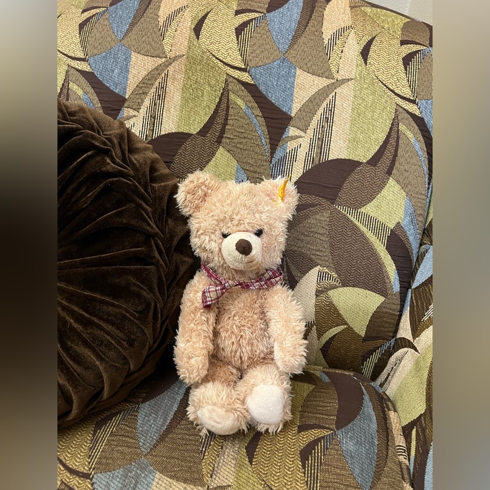 Steiff Lotta Teddy Bear‎ Collectible 10”